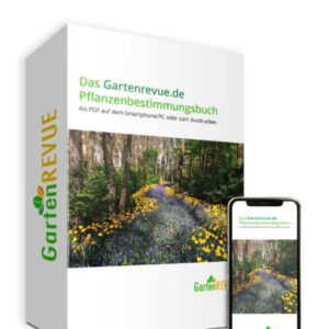 pflanzenbestimmung-garten